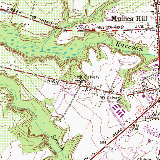 Topographic Map of Mount Calvary Cemetery, NJ