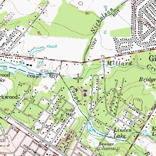 Topographic Map of Nicholson Branch, NJ