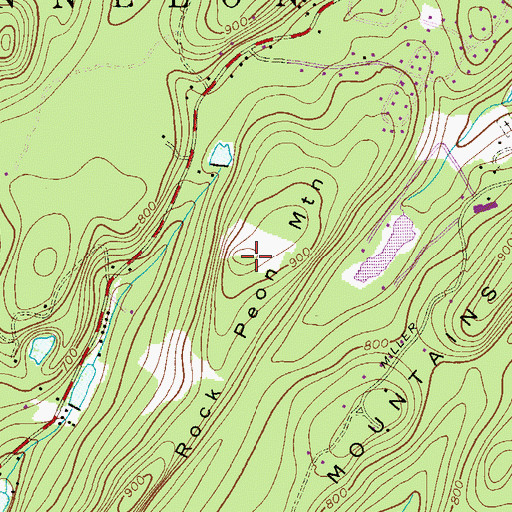 Topographic Map of Rock Pear Mountain, NJ