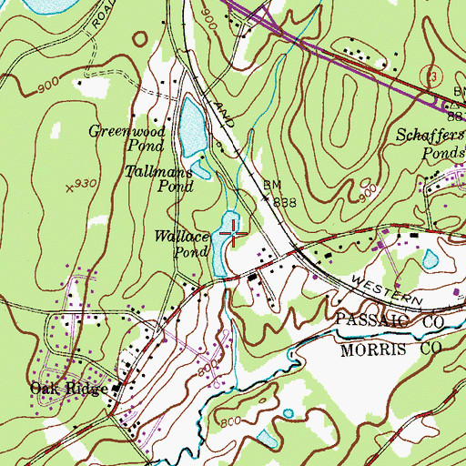 Topographic Map of Wallace Pond, NJ