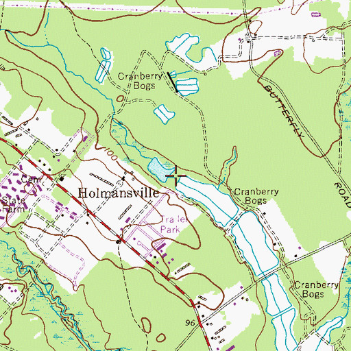 Topographic Map of Butterfly Bogs Wildlife Management Area, NJ