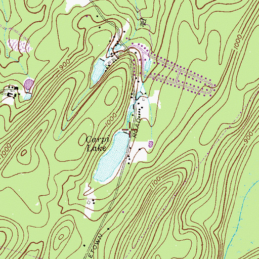 Topographic Map of Carpi Lake Dam, NJ