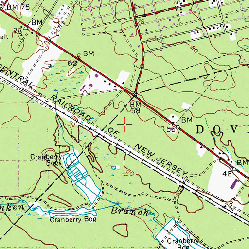 Topographic Map of WNJO-AM (Toms River), NJ