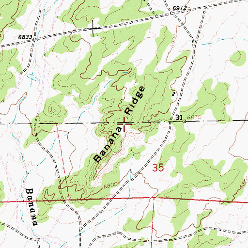 Topographic Map of Banana Ridge, NM