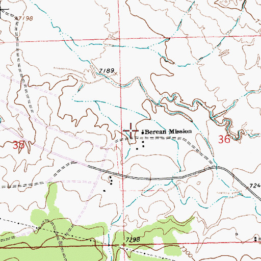 Topographic Map of Berean Mission, NM