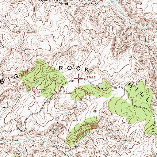 Topographic Map of Big Rock Hill, NM