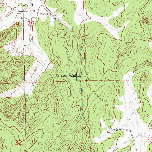 Topographic Map of Black Well, NM