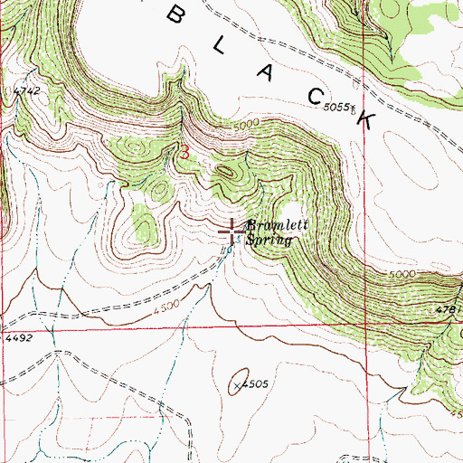 Topographic Map of Bramlett Spring, NM