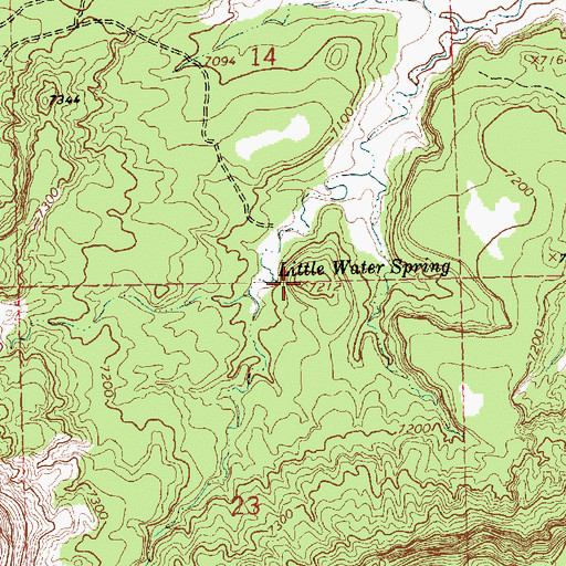 Topographic Map of Little Water Spring, NM