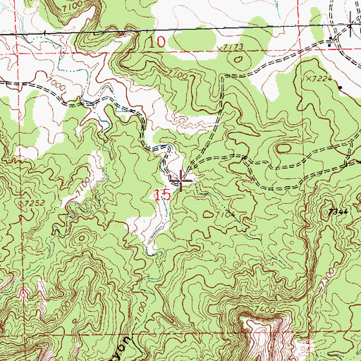 Topographic Map of Long Canyon, NM