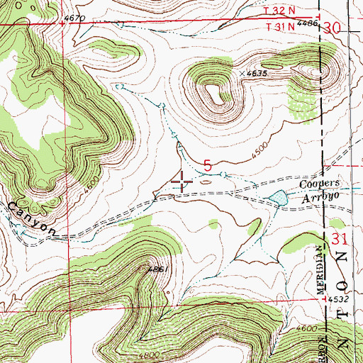 Topographic Map of Long Canyon, NM