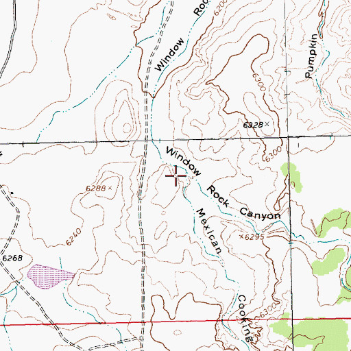Topographic Map of Mexican Cooking Canyon, NM