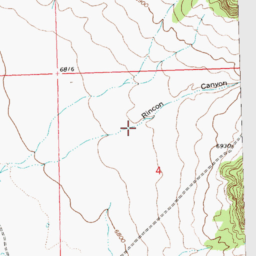 Topographic Map of Rincon Canyon, NM