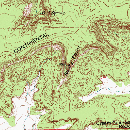 Topographic Map of Rocky Point, NM