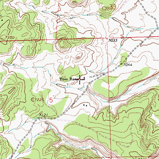 Topographic Map of Tom Ranch, NM