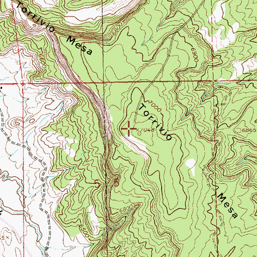 Topographic Map of Torrivio Mesa, NM
