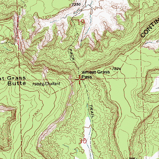 Topographic Map of Wheat Grass Pass, NM