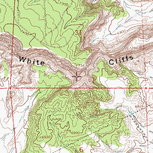 Topographic Map of White Cliffs, NM