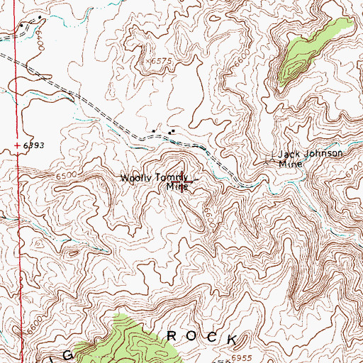 Topographic Map of Woolly Tommy Mine, NM