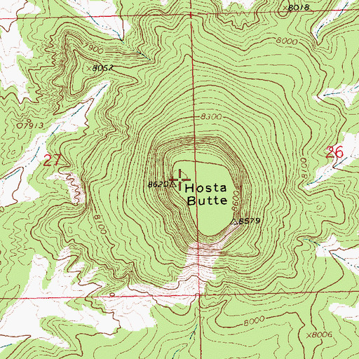 Topographic Map of Hosta Butte, NM