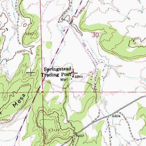 Topographic Map of Springstead Trading Post, NM