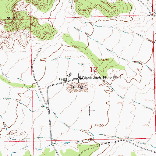 Topographic Map of Black Jack Mine Number One, NM