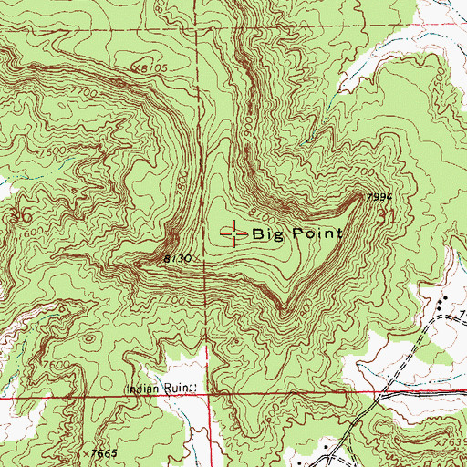 Topographic Map of Big Point, NM