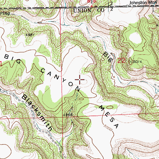 Topographic Map of Big Canyon Mesa, NM