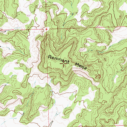 Topographic Map of Remnant Mesa, NM