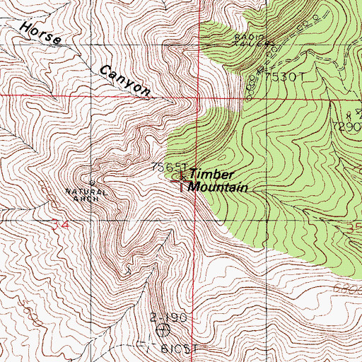 Topographic Map of Timber Mountain, NM