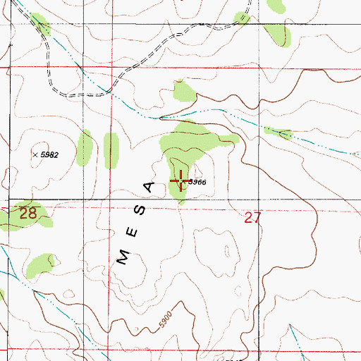 Topographic Map of Cat Head Mesa, NM