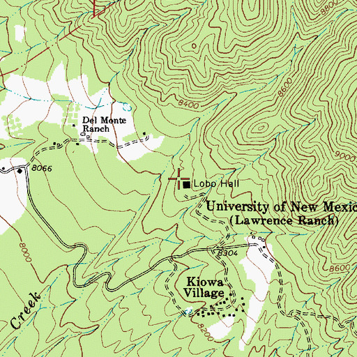 Topographic Map of Lobo (historical), NM