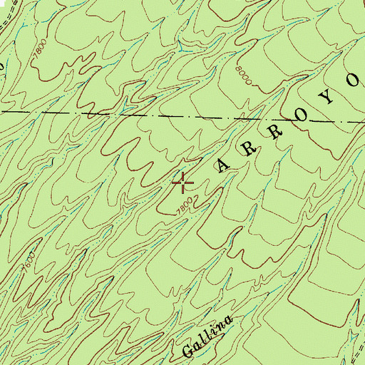 Topographic Map of Arroyo Hondo Grant, NM