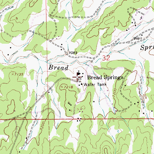 Topographic Map of Bread Springs, NM
