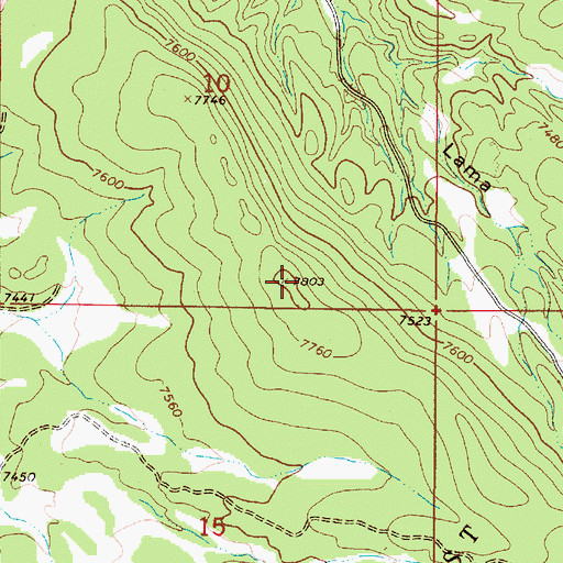 Topographic Map of Cebolla Mesa, NM
