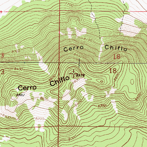 Topographic Map of Cerro Chiflo, NM