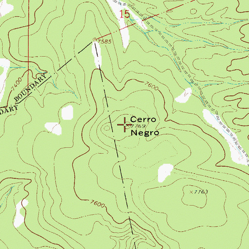Topographic Map of Cerro Negro, NM