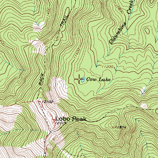 Topographic Map of Cow Lake, NM