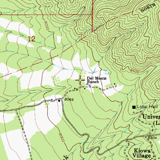Topographic Map of Del Monte Ranch, NM
