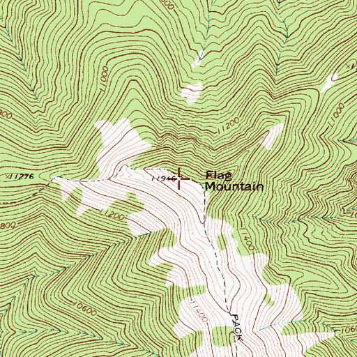 Topographic Map of Flag Mountain, NM