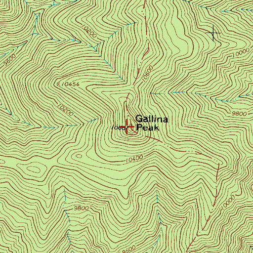 Topographic Map of Gallina Peak, NM
