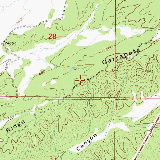 Topographic Map of Garrapata Ridge, NM