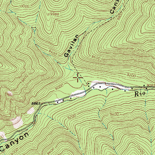 Topographic Map of Gavilan Canyon, NM
