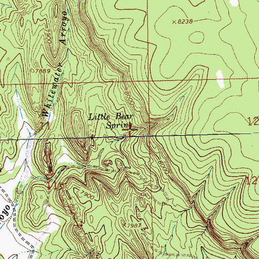 Topographic Map of Little Bear Spring, NM