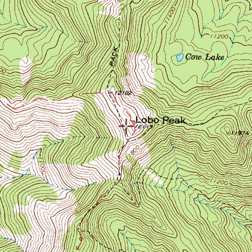Topographic Map of Lobo Peak, NM