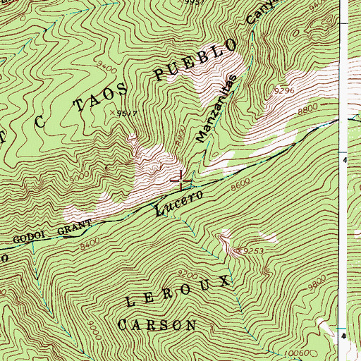Topographic Map of Manzanitas Canyon, NM
