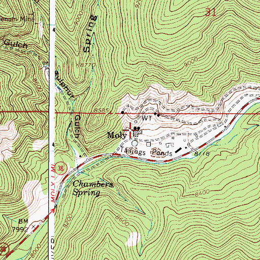 Topographic Map of Moly, NM
