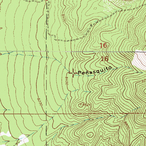 Topographic Map of Peasquito Canyon, NM