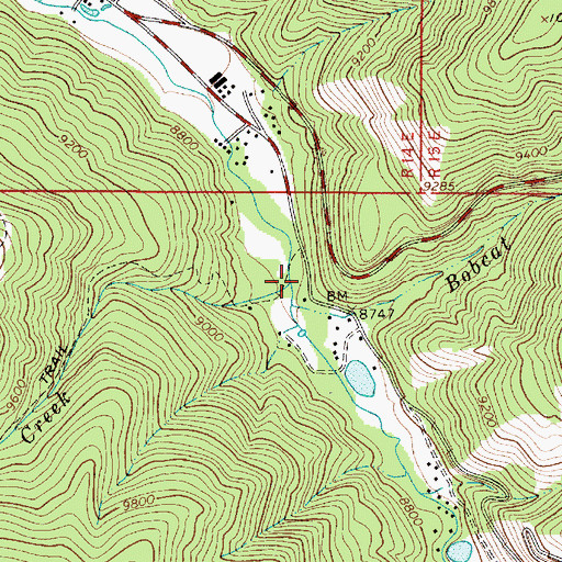 Topographic Map of Placer Creek, NM