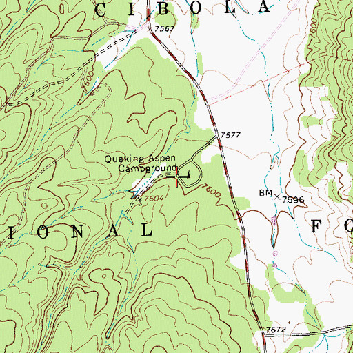 Topographic Map of Quaking Aspen Campground, NM